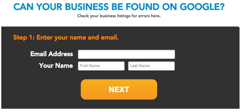 Form prompting users to check business listings on Google, featuring fields for email address and name, with a "NEXT" button.