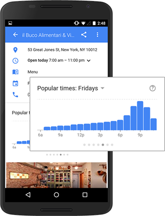 Google Business Popular Times