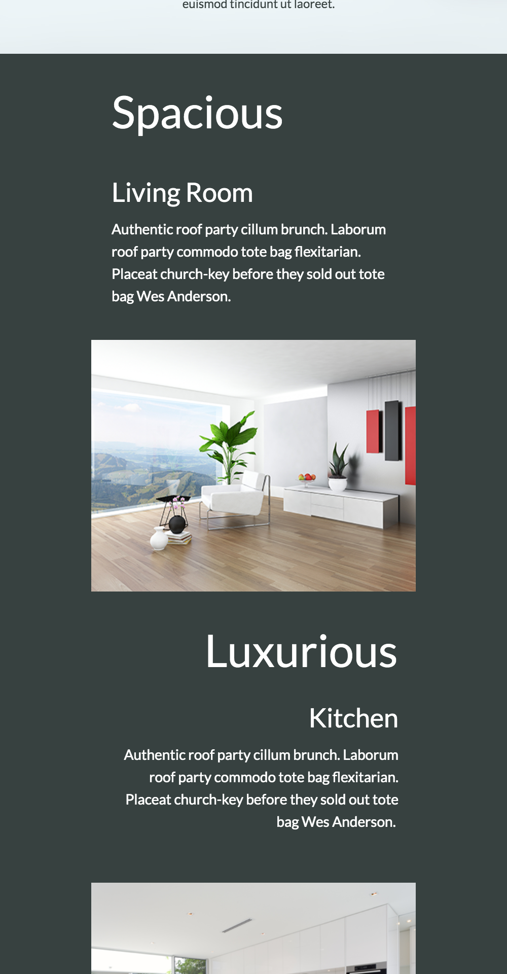 Spacious and luxurious living room and kitchen design showcasing modern interior elements and natural light, emphasizing small business website template aesthetics for effective customer engagement.