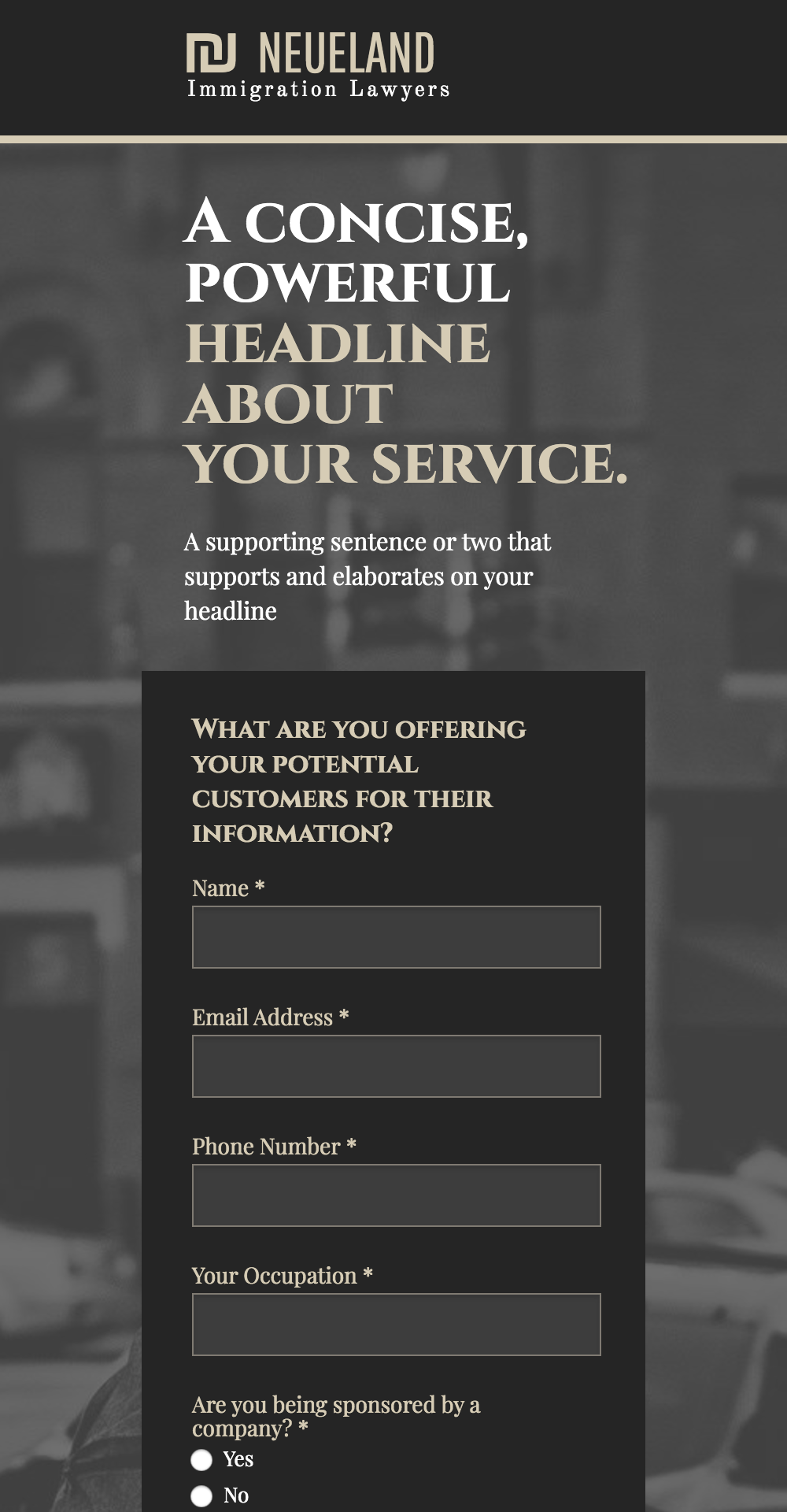Sample wireframe design for small business website, featuring form fields for name, email, phone number, and occupation, emphasizing user engagement and lead generation.