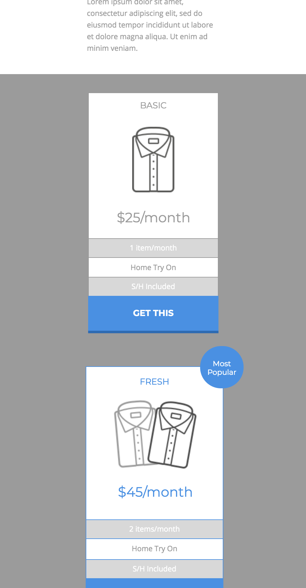 Sample pricing plans for shirt subscription service, featuring "Basic" plan at $25/month for 1 item with home try-on and shipping included, and "Fresh" plan at $45/month for 2 items, highlighted as most popular.