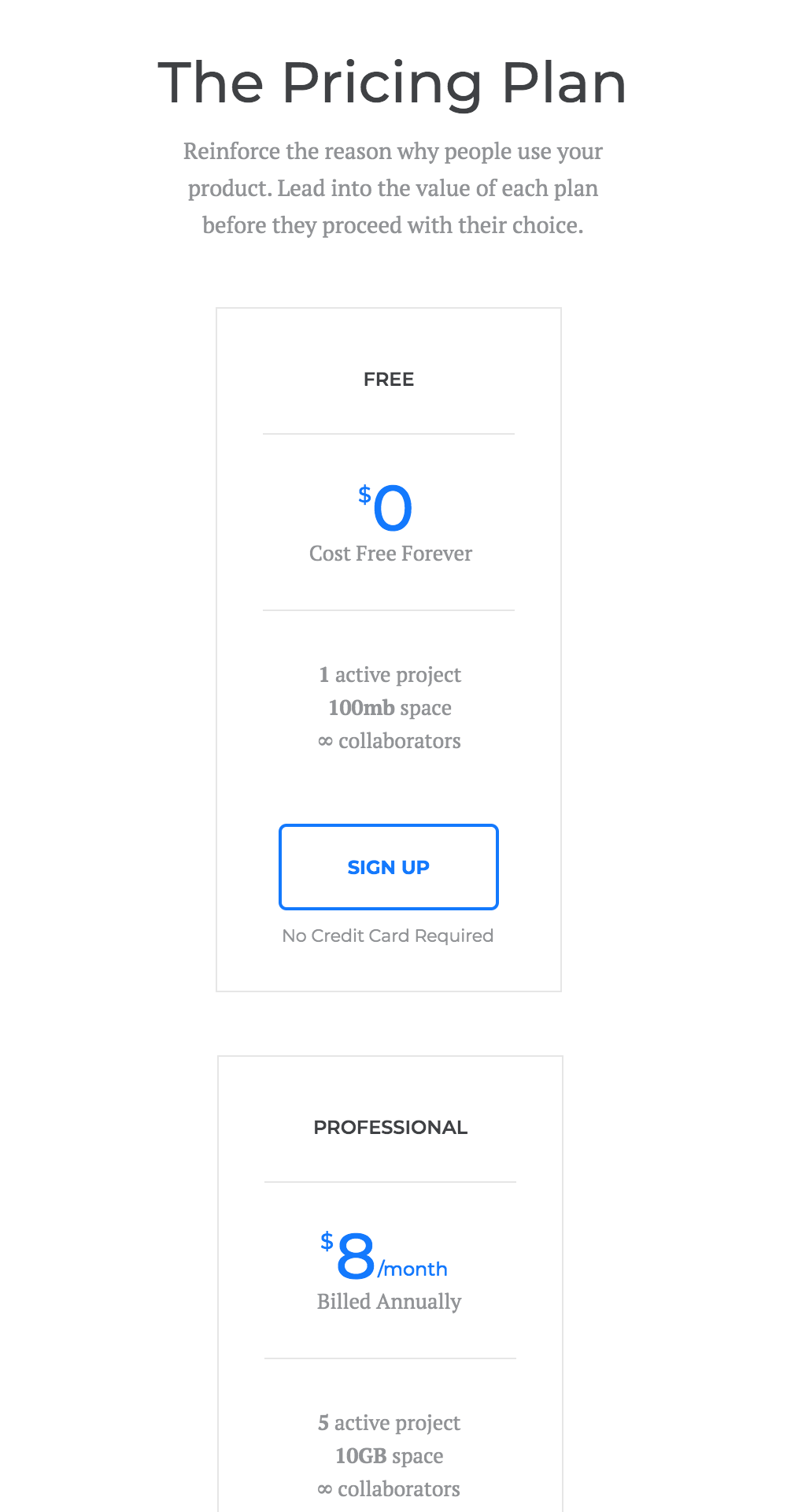 Wireframe design sample showcasing pricing plans for web development services, featuring "Free" and "Professional" options with details on project limits and storage space.